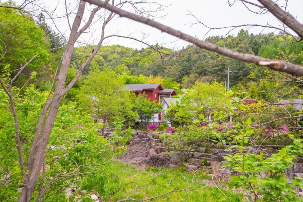 Pyeongchang Zermatt Pension Family, Couple מראה חיצוני תמונה